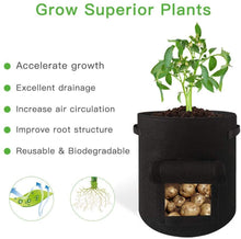 Load image into Gallery viewer, Quickbargainonline Garden Seedling & Plant Growing Flower Pot