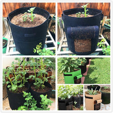 Load image into Gallery viewer, Quickbargainonline Garden Seedling & Plant Growing Flower Pot