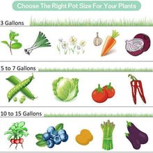 Load image into Gallery viewer, Quickbargainonline Garden Seedling & Plant Growing Flower Pot