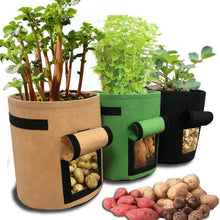 Load image into Gallery viewer, Quickbargainonline Garden Seedling &amp; Plant Growing Flower Pot
